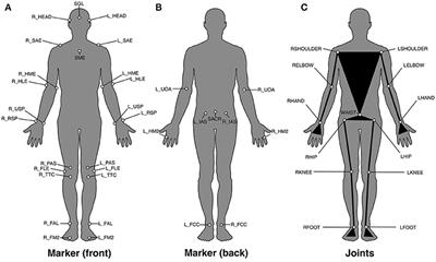 The Contribution of Upper Body Movements to Dynamic Balance Regulation during Challenged Locomotion